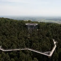 Le Chemin des Cimes Alsace