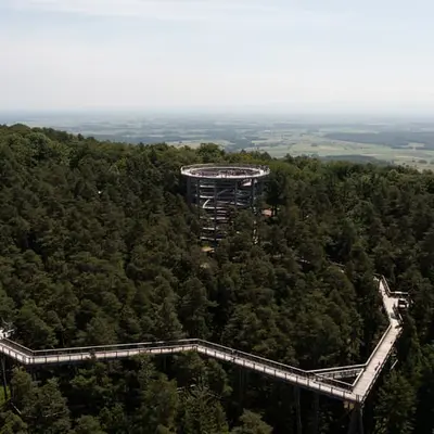 Le Chemin des Cimes Alsace