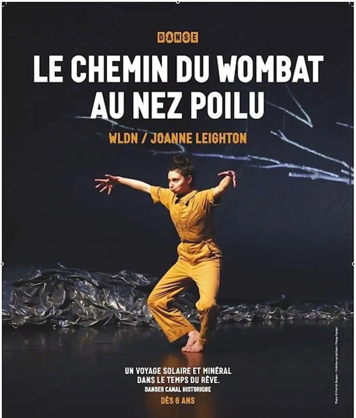 Le chemin du Wombat au nez poilu