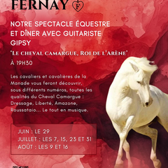 Le Cheval Camargue Roi de l’Arène ! à la manade Fernay