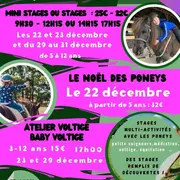 Le Cheval Emeraude > Programme des vacances