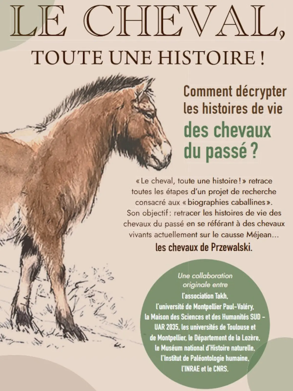 Le cheval, toute une histoire !
