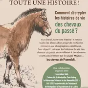 Le cheval, toute une histoire !