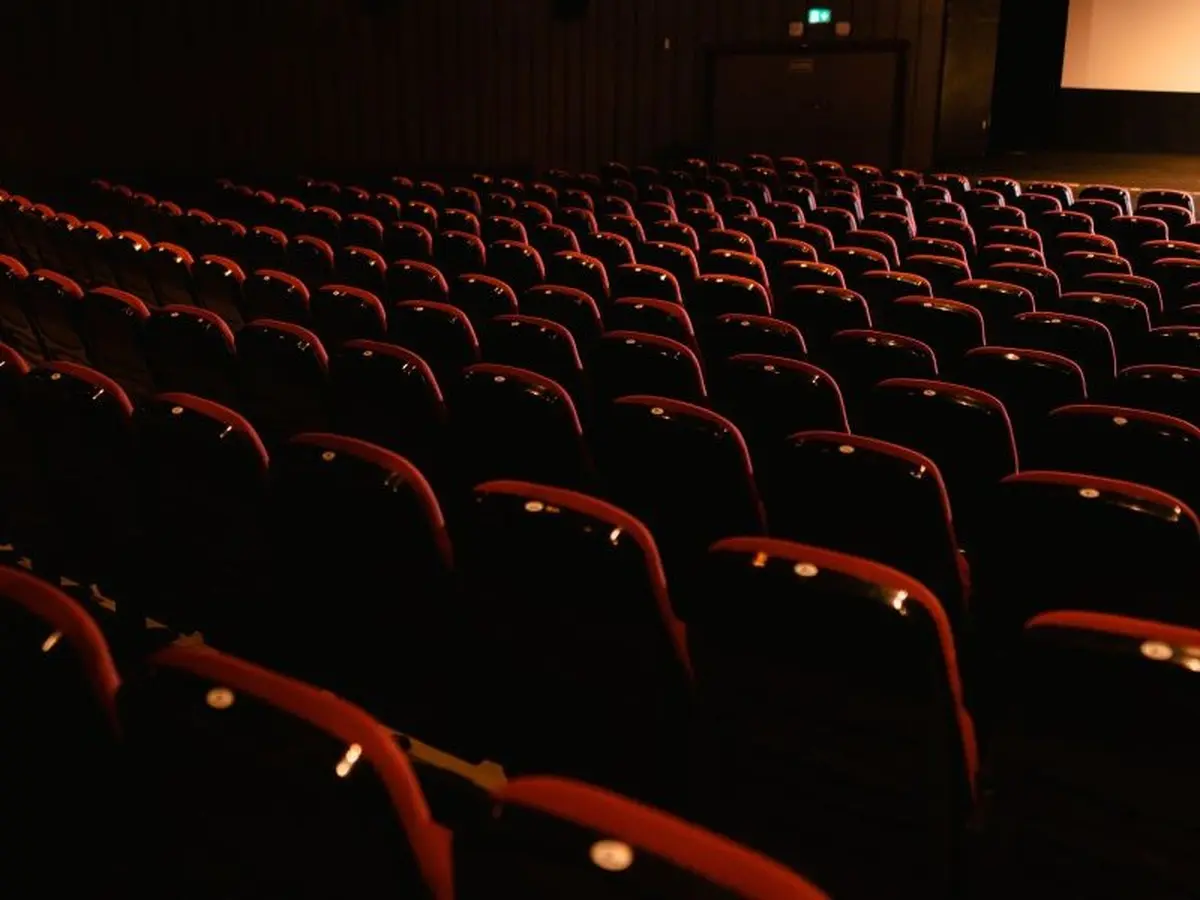 Le cinéma Vog participe au festival Mascaret