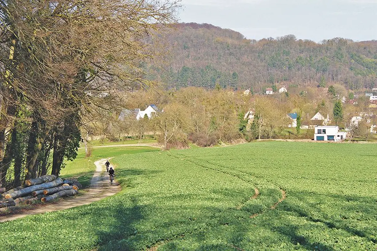 Une guerre des positions à l'orée du bois