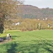 Le circuit du Haulenwald : sur les traces de la Première guerre mondiale