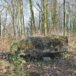 Le circuit du Haulenwald : sur les traces de la Première guerre mondiale