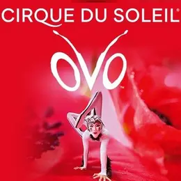 Le Cirque du Soleil