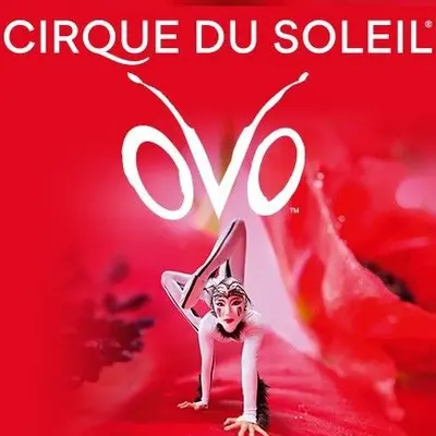 Le Cirque du Soleil