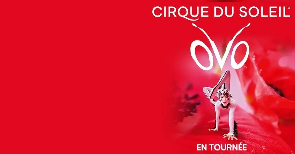 Le spectacle OVO du Cirque du Soleil