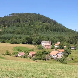 5 sommets vosgiens à (re)découvrir cet été !