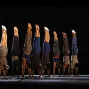 Le complexe de l'autruche