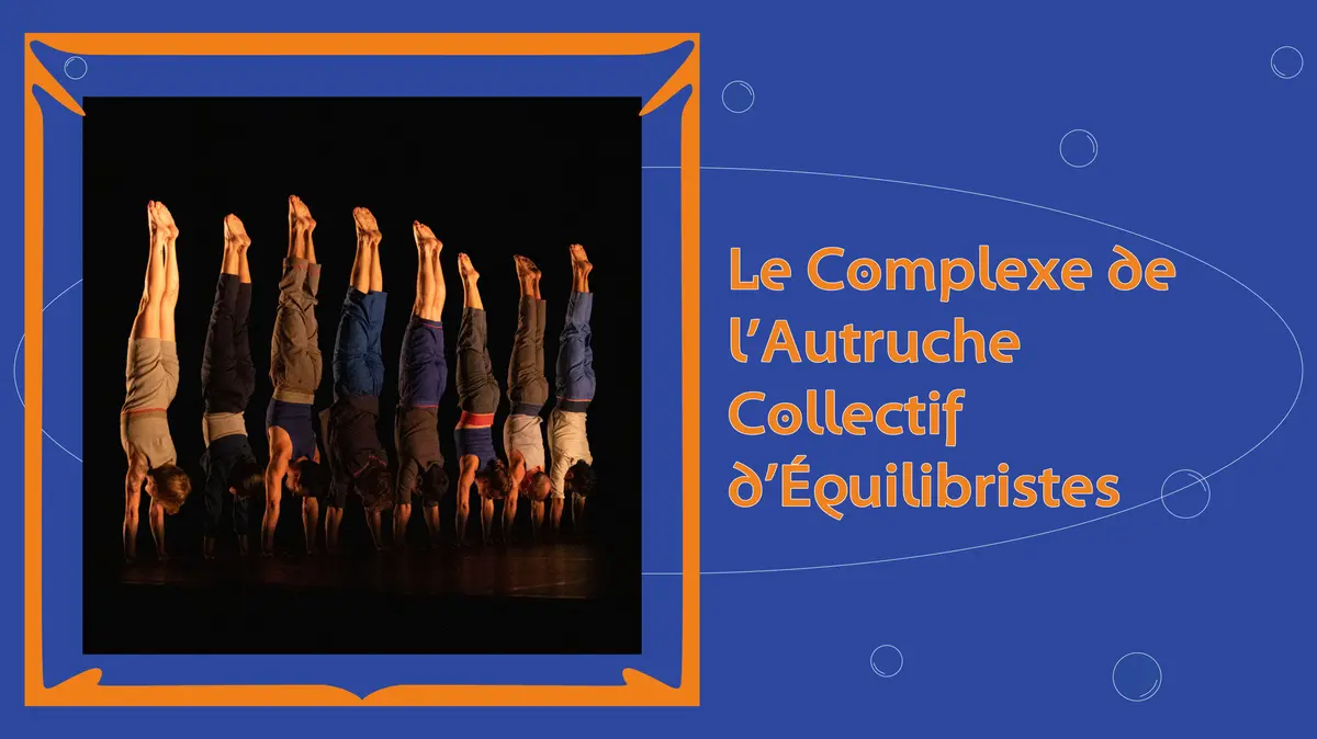 Le complexe de l'autruche - Collectif d'équilibristes