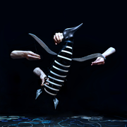 Le Complexe du Pingouin