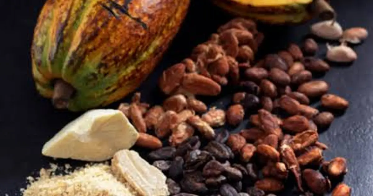 Le conte du cacao : déambulation contée matinale