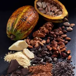 Le conte du cacao : déambulation contée matinale
