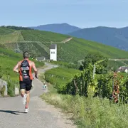 Les courses de la rentrée !