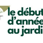 Le début d'année au jardin