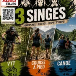 Le défi des 3 singes