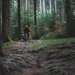 Le défi VTT - Bisca Mountain Bike