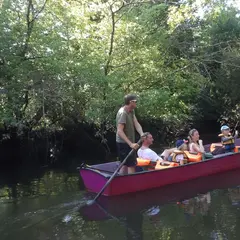 Le Delta de la Leyre