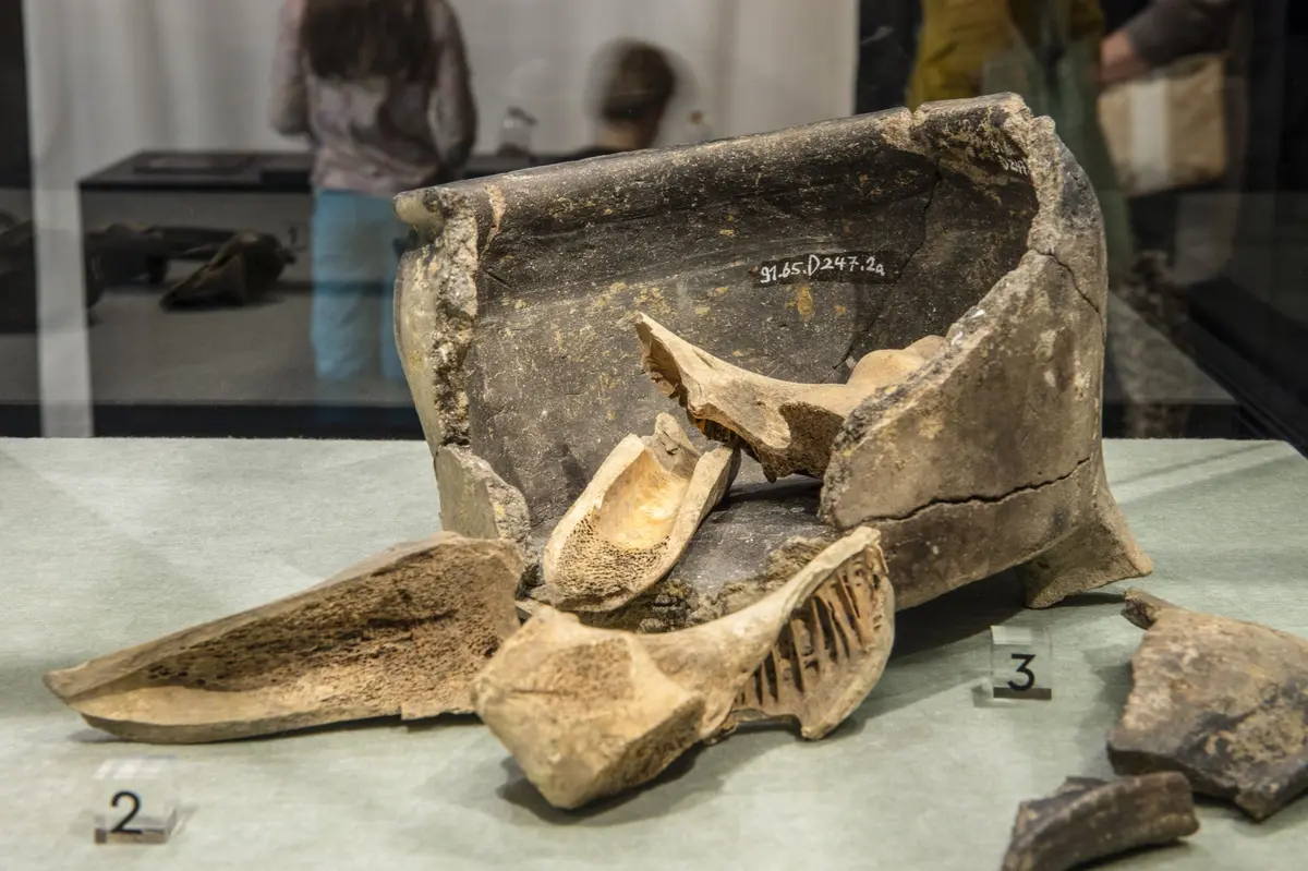 De nombreuses découvertes archéologiques à voir à Augusta Raurica