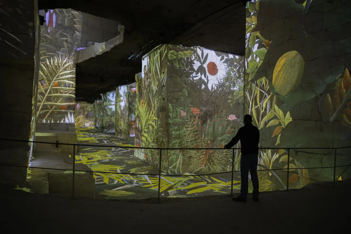 Une véritable jungle, sortie de l'esprit du Douanier Rousseau