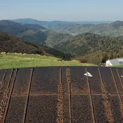 5 sommets vosgiens à (re)découvrir cet été !