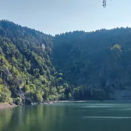 5 lacs vosgiens à voir en Alsace et environs