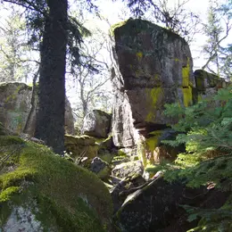 5 sommets Vosgiens à découvrir