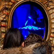 Le Festival du Merveilleux 2025 des Pavillons de Bercy