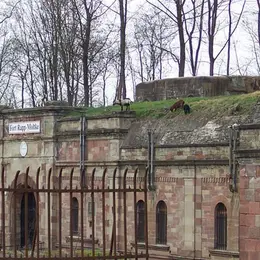 Fort Rapp