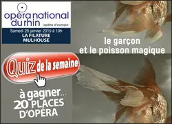 Le Garçon et le poisson magique