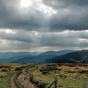 5 sommets alsaciens à découvrir !