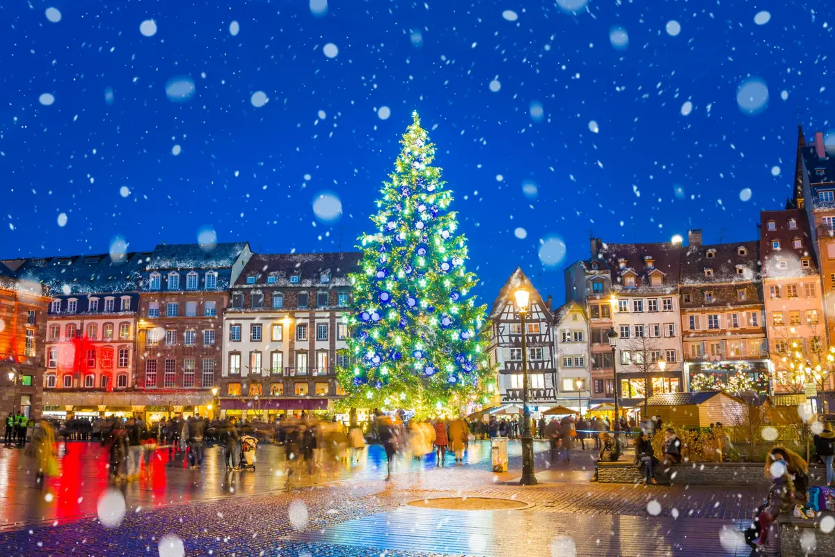 Le géant de Noël est arrivé à Strasbourg : 30 mètres, 11 tonnes et une installation spectaculaire !