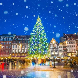 Le géant de Noël est arrivé à Strasbourg : 30 mètres, 11 tonnes et une installation spectaculaire !
