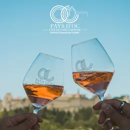 Le Grand Pique-Nique Des Vignerons De La Cité