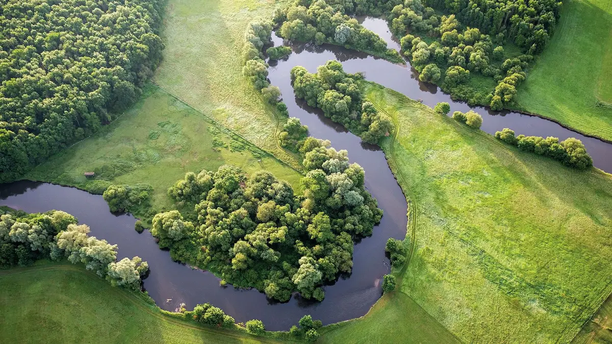 Le Grand Ried, un écrin verdoyant