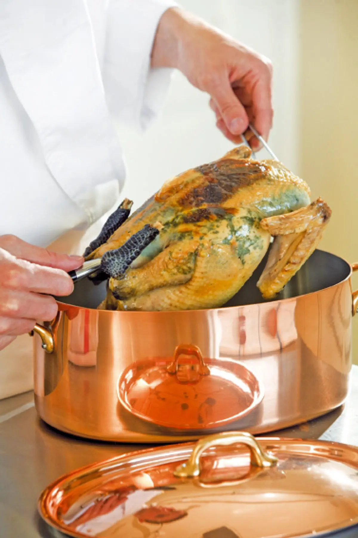 Le guide de la volaille