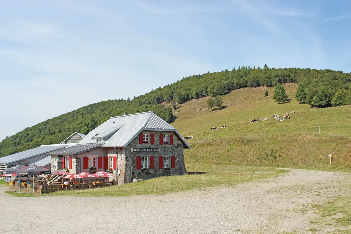 Le Haag, Le savoir-faire au pied du Grand Ballon