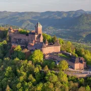 Le Tour de France en Alsace : 5 spots pour les voir pédaler !