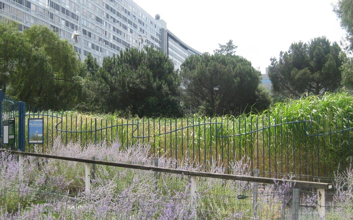 Jardin de l' atlantique