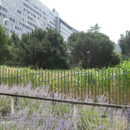 Le jardin Atlantique