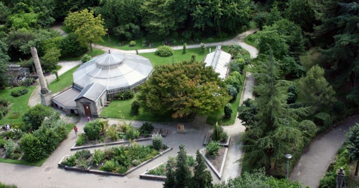 Jardin botanique de Strasbourg plantes et arbres rares, espace vert