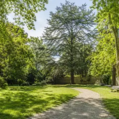 Le jardin de la Béchade