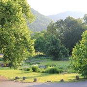 5 parcs botaniques originaux à visiter en Alsace !
