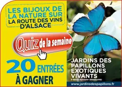 Le Jardin des Papillons