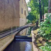 5 parcs bucoliques à redécouvrir à Mulhouse