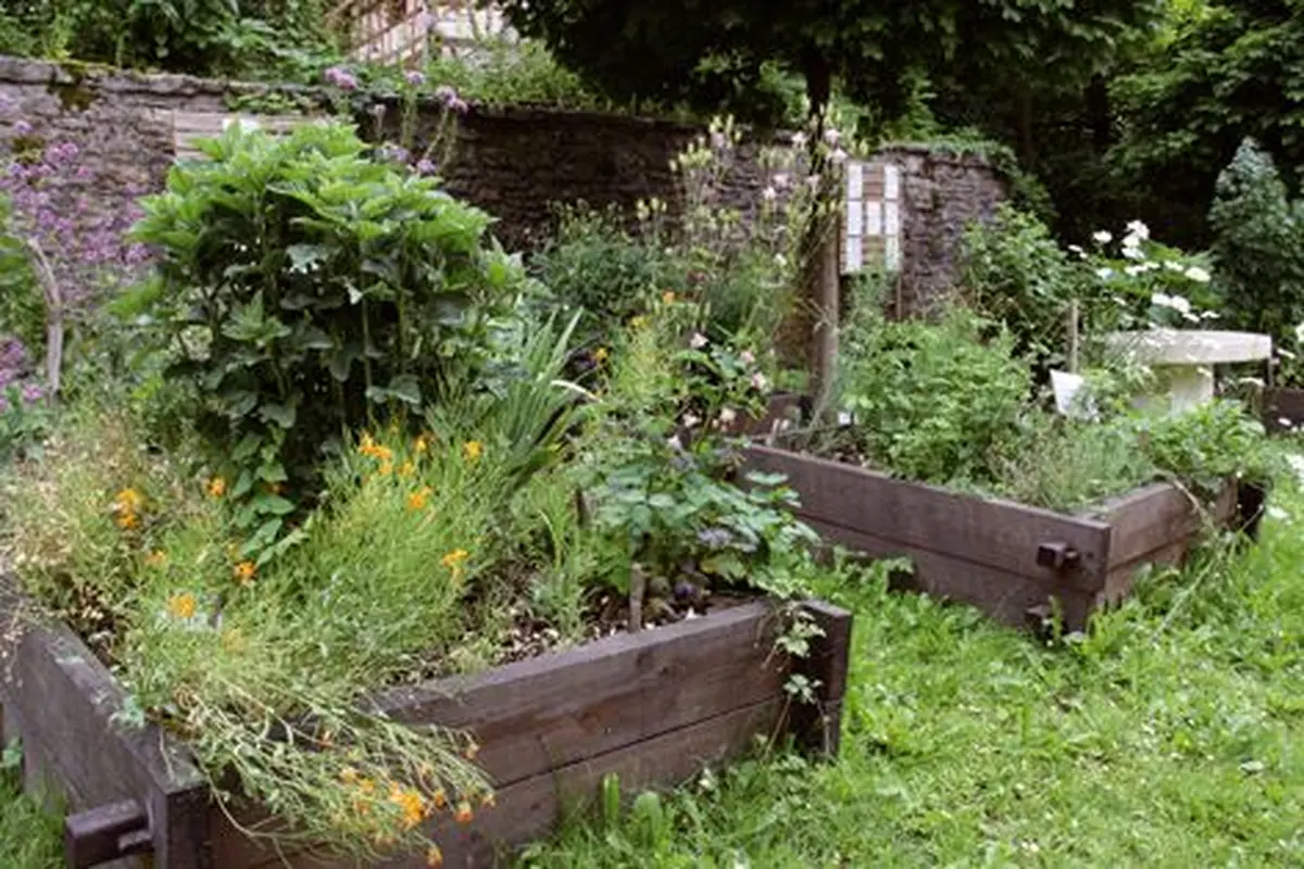 Le jardin médiéval