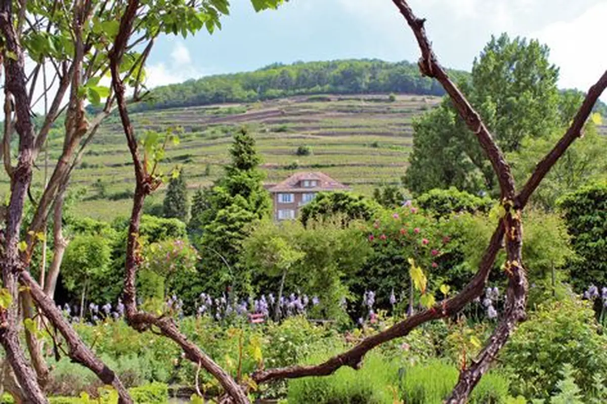 Le jardin médiéval des Dominicains à Guebwiller